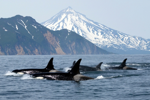 British Columbia